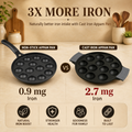 Aditi Kitchenware Cast Iron Appam Pan | 12 Pits | 2.5 kg | Pre-Seasoned | Induction & Gas Compatible